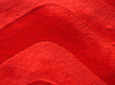 Kırmızı Kumaş